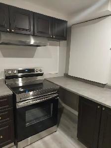 2 Bedroom Basement Apartment - Ajax - Photo 2