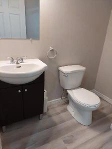 2 Bedroom Basement Apartment - Ajax - Photo 5