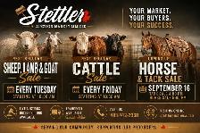 Weekly Livestock Auctions – Cattle, Sheep, Lambs & Goats
