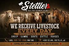 Weekly Livestock Auctions – Cattle, Sheep, Lambs & Goats - Photo 2