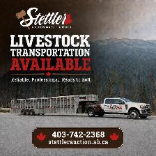 Weekly Livestock Auctions – Cattle, Sheep, Lambs & Goats - Photo 3