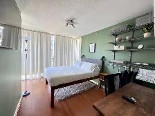 ALL UTILITIES INCLUDED | Furnished Room | Steps to SkyTrain - Photo 2