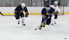 Less Competiitive Hockey at the Vollmer