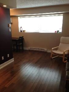 Remodeled 1 Bedroom Condo for rent at 108 Chandos Avevenue - Photo 7