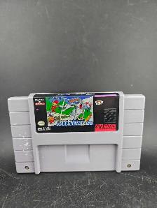 NINTENDO SNES BUGS BUNNY RABBIT RAMPAGE