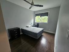 Room for rent - Photo 3
