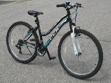 LIKE NEW FEMALE'S 26' CCM HARDLINE TRAIL 21SPD WITH SUSPENSION! - Photo 2