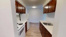 Beautiful ONE BEDROOM Suite in a Convenient Location! - Photo 4