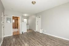 241 Gibson Ave, Hamilton (4) - Bachelor Apartment