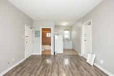 241 Gibson Ave, Hamilton (4) - Bachelor Apartment - Photo 2