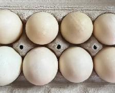 Fresh Duck Eggs – West Nipissing / Sturgeon Falls - Photo 3