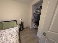 Cozy, well-finished ground level apartment, Downtown Dartmouth - Photo 4