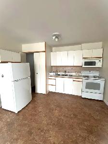 1 Bedroom Downtown Sarnia Apartment | In-Suite Laundry