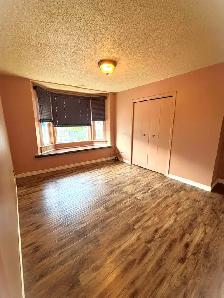 1 Bedroom Downtown Sarnia Apartment | In-Suite Laundry - Photo 3