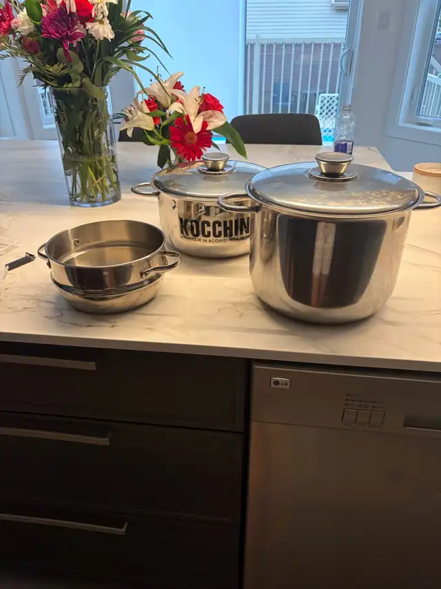 stainless steel Pots