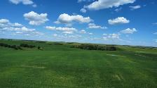 6,133 Acres for sale by Tender - Photo 3
