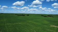 6,133 Acres for sale by Tender - Photo 4