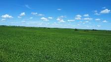 6,133 Acres for sale by Tender - Photo 5
