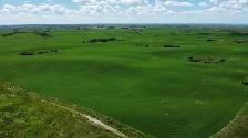 6,133 Acres for sale by Tender - Photo 6