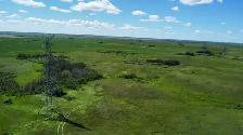 6,133 Acres for sale by Tender - Photo 7