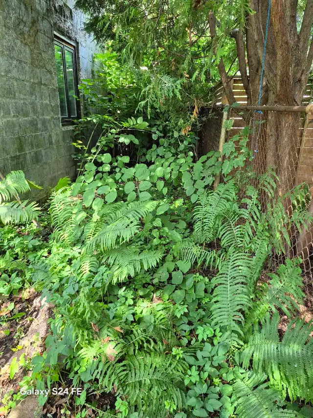 Landscaping work