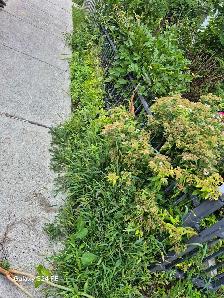 Landscaping work - Photo 3