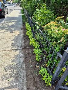 Landscaping work - Photo 4