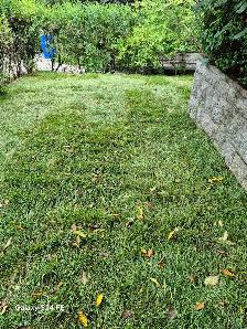 Landscaping work - Photo 5