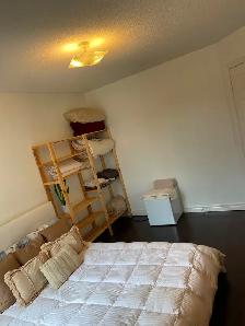 Bachelor Studio-Sized Room For Rent in Milton For Female - Photo 9