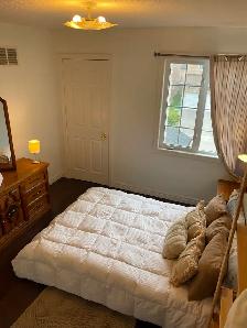 Bachelor Studio-Sized Room For Rent in Milton For Female - Photo 10