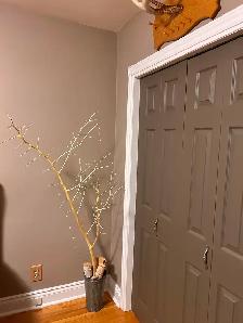 Cedar Fairy Tree - Photo 2