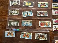 49 BROOKE BOND TEA 1954 Collectible Trading Cards ! - Photo 2
