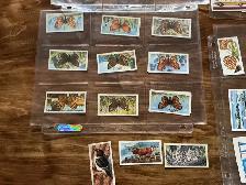 49 BROOKE BOND TEA 1954 Collectible Trading Cards ! - Photo 3