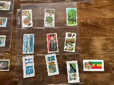 49 BROOKE BOND TEA 1954 Collectible Trading Cards ! - Photo 5