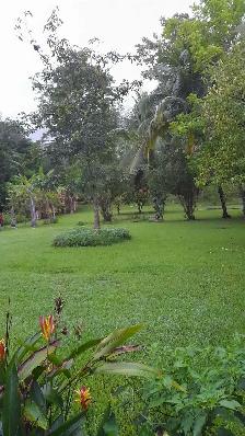 Land for Sale in Belize, 107 acres - Photo 2