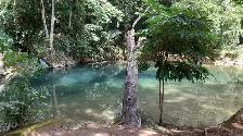 Land for Sale in Belize, 107 acres - Photo 4