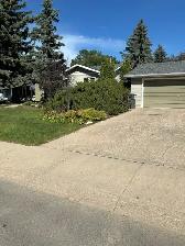 2 Bedroom Bright Furnished Basement