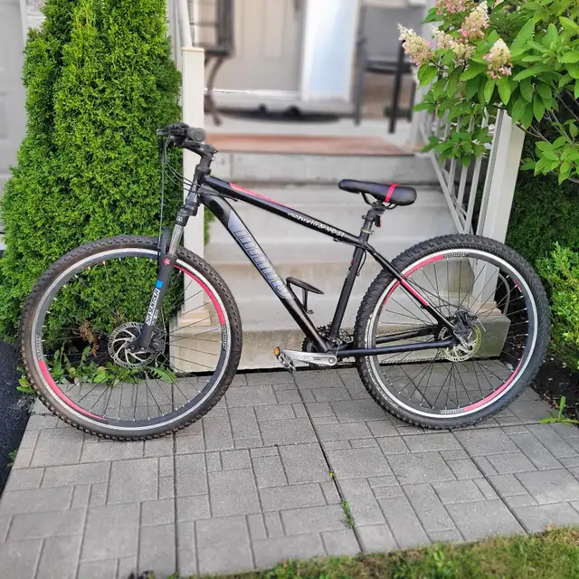 Infinity CrazyHorse 29er Mountain Bike