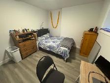 Private room in 2 bed 1 bath basement