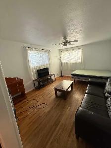 Bright basement suite in Lynnwood/Millican area - Photo 3