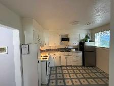 Bright basement suite in Lynnwood/Millican area - Photo 4