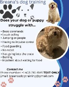 dog training