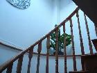 Clean, Spacious Room for Rent – Sept 1 Move-In – - Photo 5