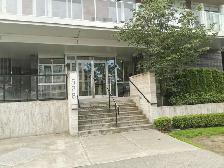 1bed1den1bath-620ft Kingedward Skytrain station apartment unit - Photo 19
