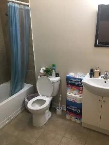 3-Bedroom Upper Unit for Rent – Thorold - Photo 19
