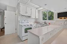 HUGE corner lot for sale! 5 bed, 2 bath with basement suite! - Photo 3