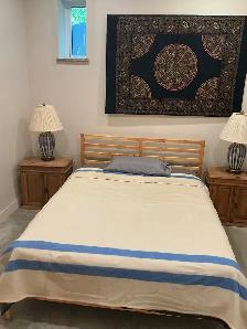 FURNISHED WALK OUT BASEMENT SUITE IN SANDY HOOK - Photo 4