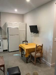 FURNISHED WALK OUT BASEMENT SUITE IN SANDY HOOK - Photo 5