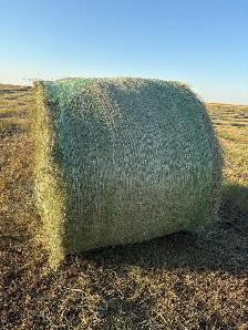 Round Hay Bales