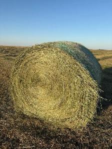 Round Hay Bales - Photo 2